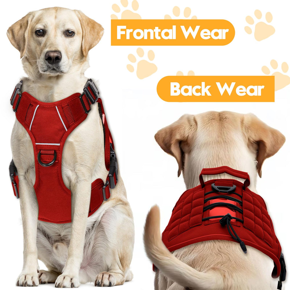 Parche de nombre gratis Bruvoalon para identificar tu perro.