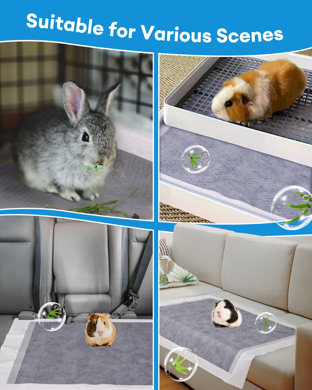 BUCATSTATE para transporte: solución limpia para trayectos con mascotas pequeñas.