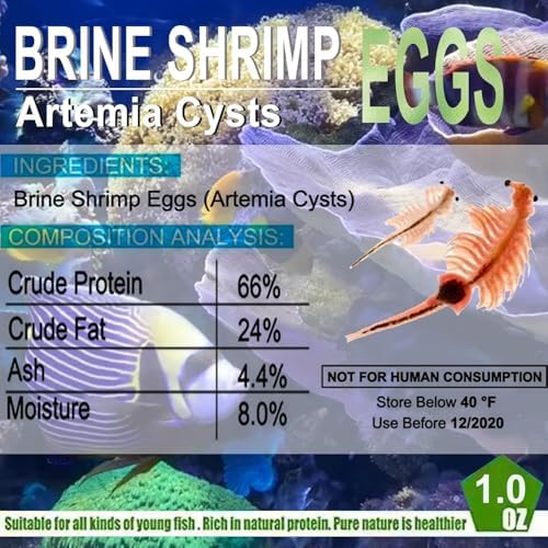 Bubble Magus: almacenamiento y uso adecuados de huevos-artemia.