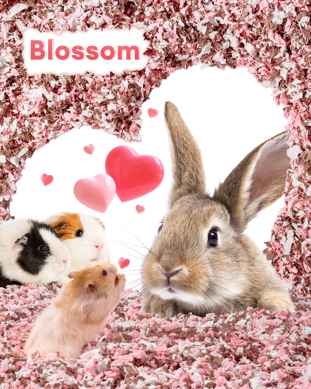 BUCATSTATE Blossom envase PE-alimento para transporte higiénico