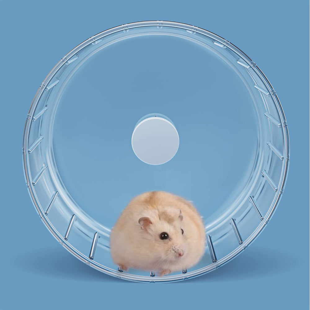 Materiales seguros BUCATSTATE, rueda duradera para uso diario de tu mascota.
