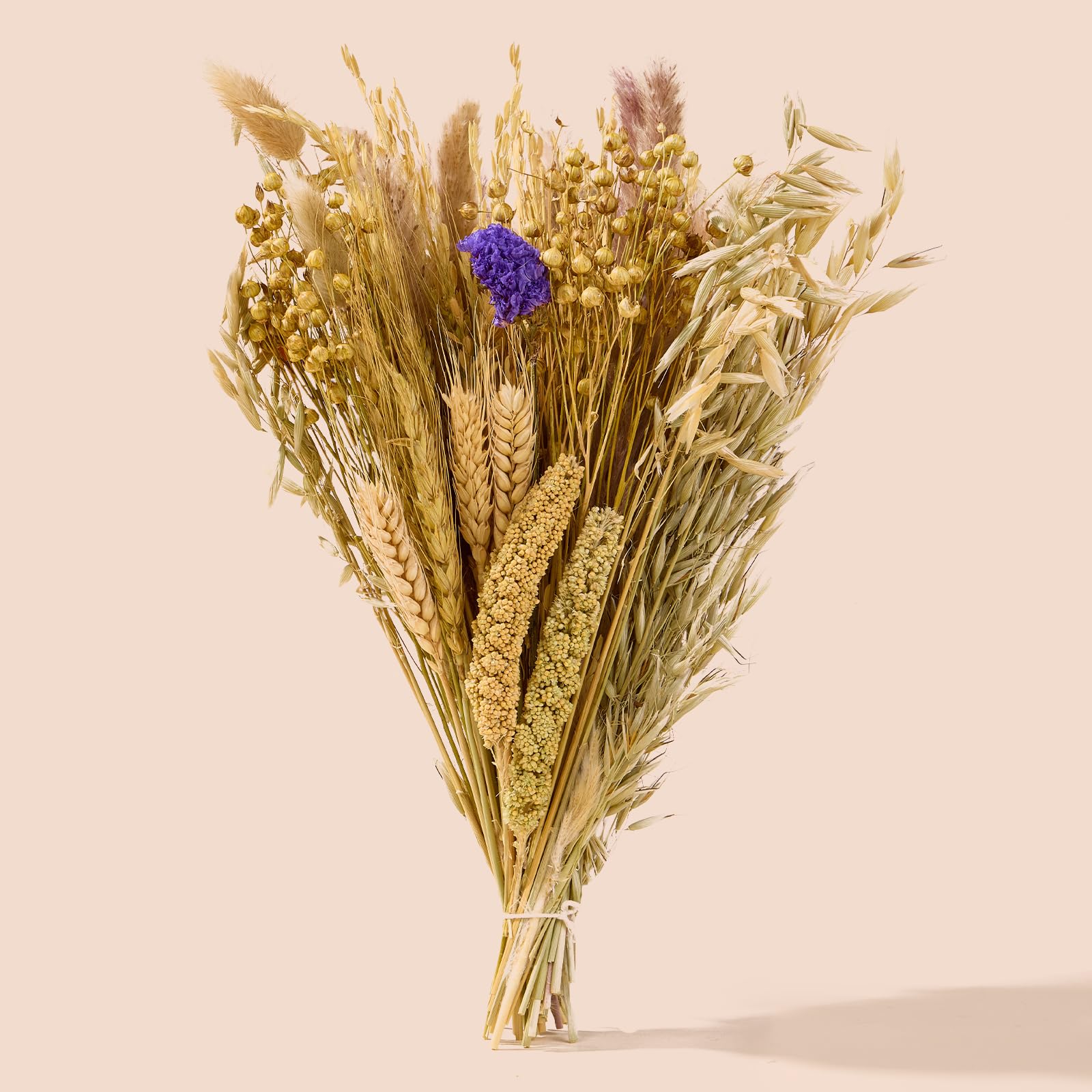 BUCATSTATE sustrato natural para hámster con flores e hierbas, para juego y descanso
