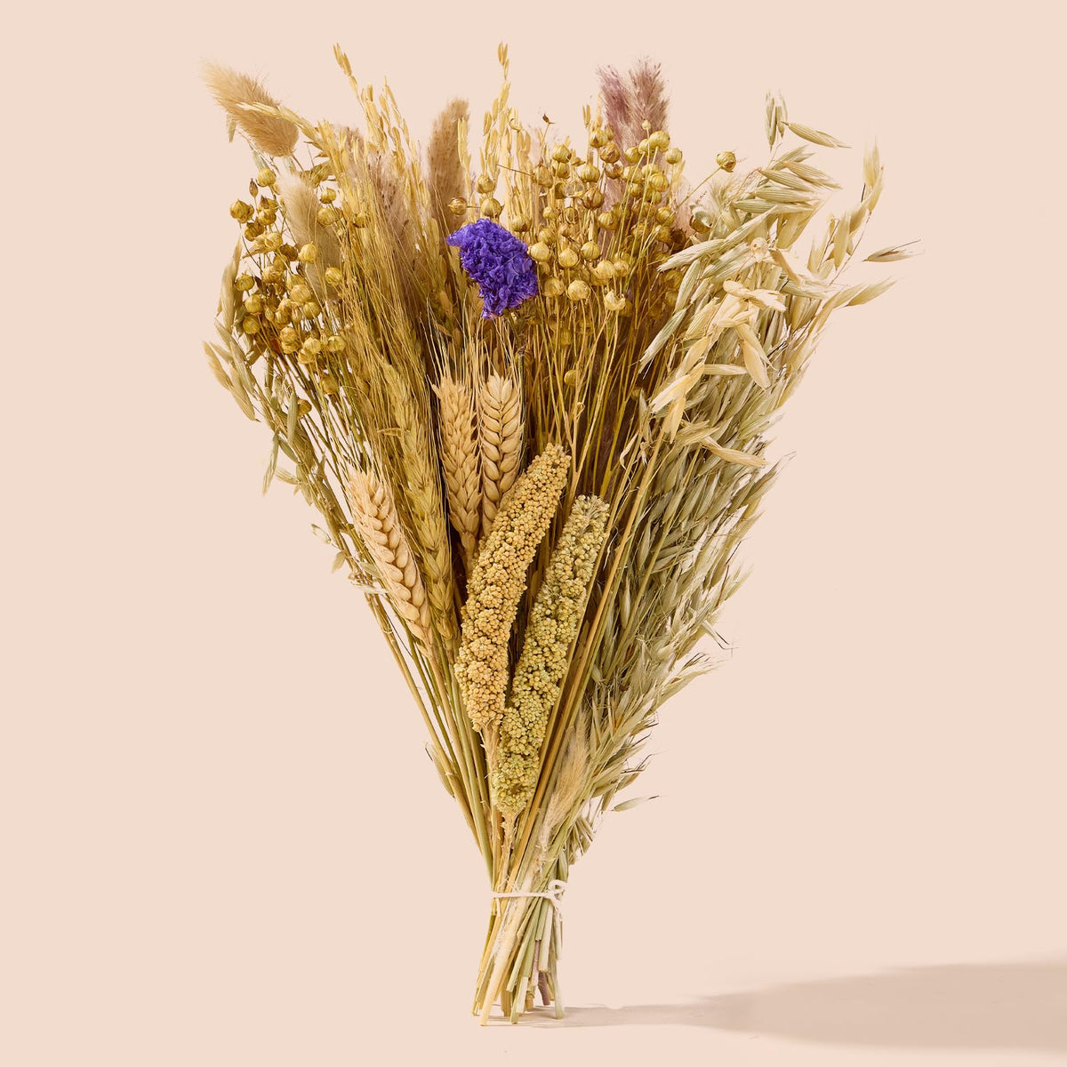 BUCATSTATE sustrato natural para hámster con flores e hierbas, para juego y descanso