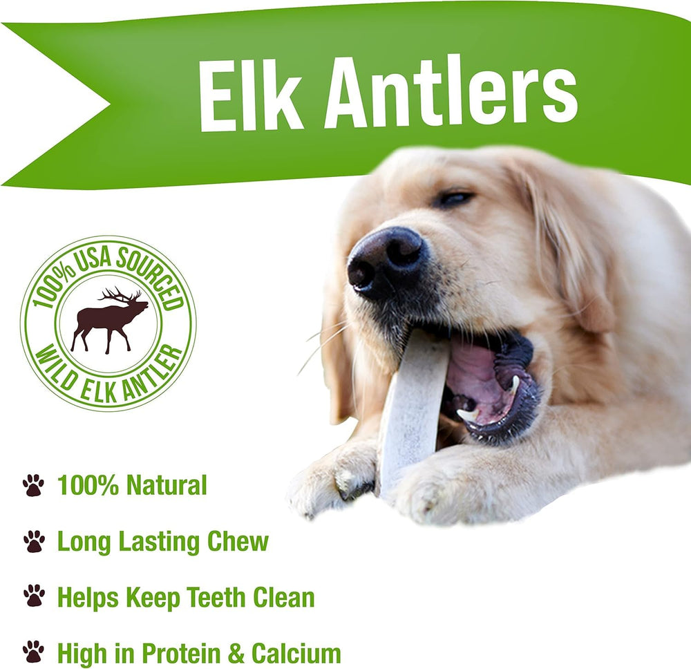 Buck Bone Organics mordedores de alce para perro; superficie dura para higiene dental
