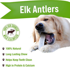 Buck Bone Organics mordedores de alce para perro; superficie dura para higiene dental