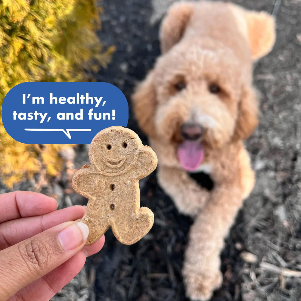 Buddy Biscuits ingredientes-simples, opción clara y natural para perros.