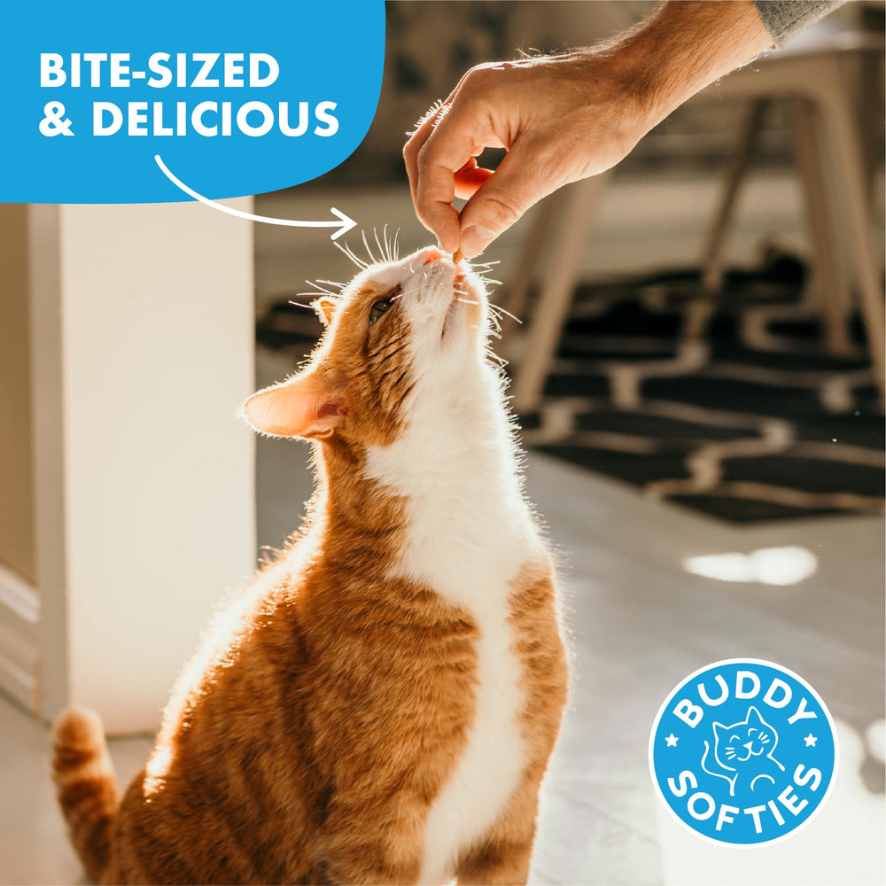 Softies de Buddy Biscuits sin gluten para gatos curiosos.