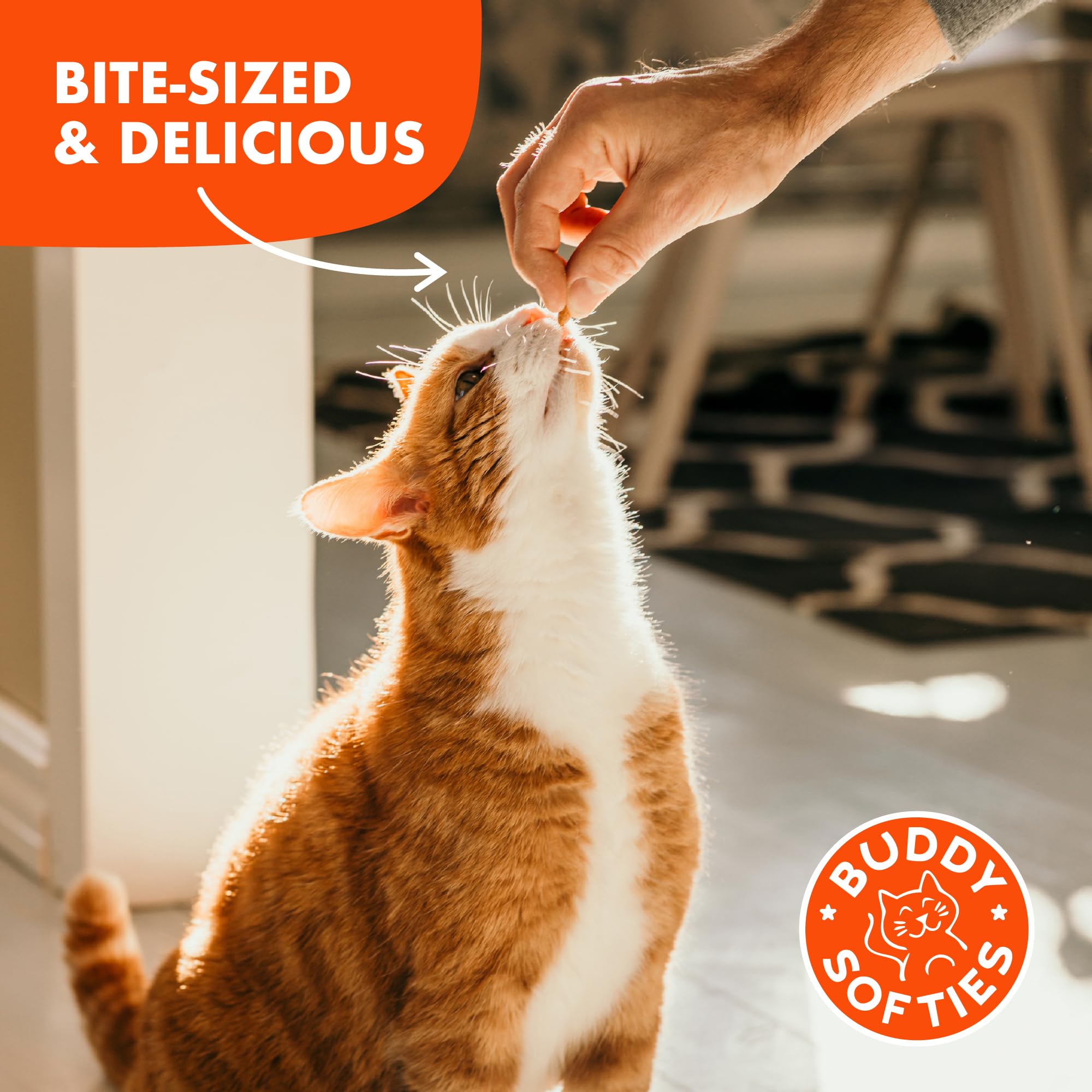 Sin trigo, maíz ni soja, en Softies para gatos.