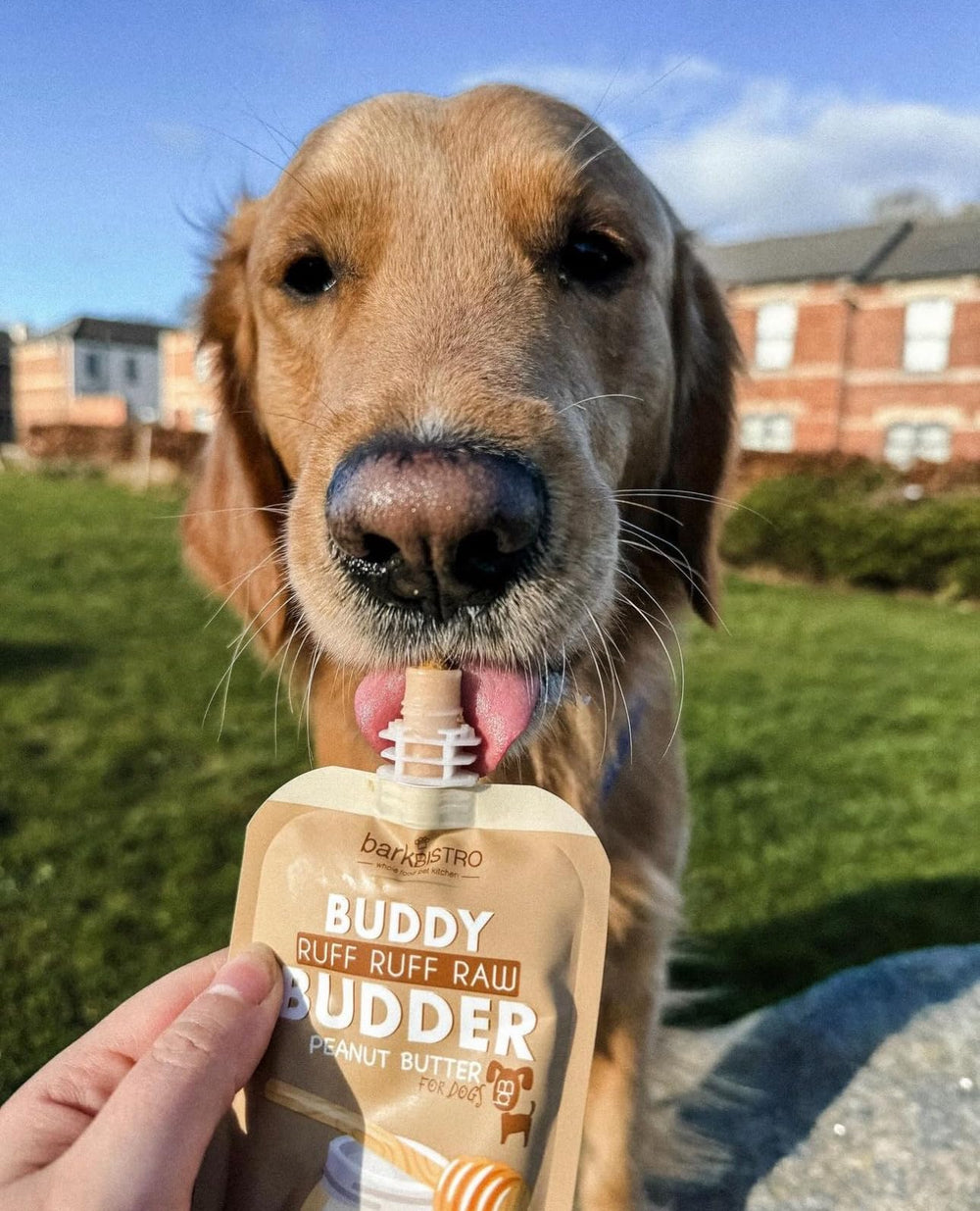 Buddy Budder: empaque práctico para paseos y excursiones con tu perro.