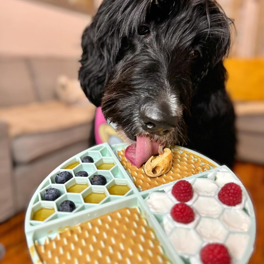 Buddy Budder: snack saludable para perros, una alternativa más ligera a golosinas comerciales.