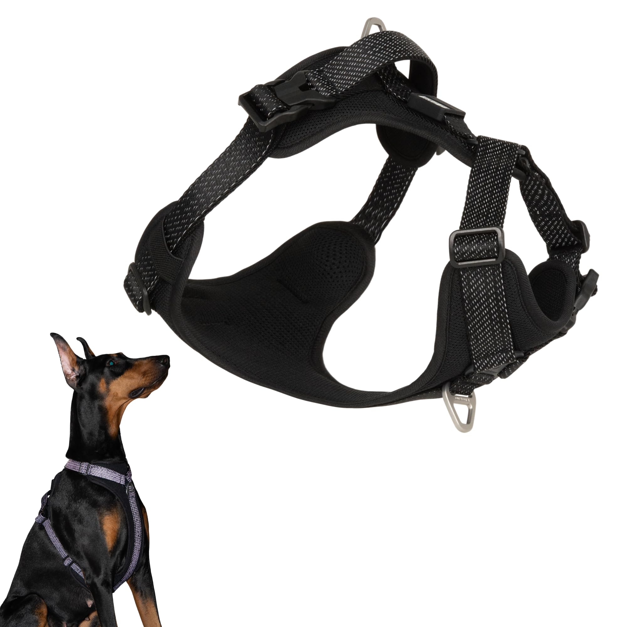 Arnés BuddyArmor con ajuste ergonómico para paseos cómodos diarios.