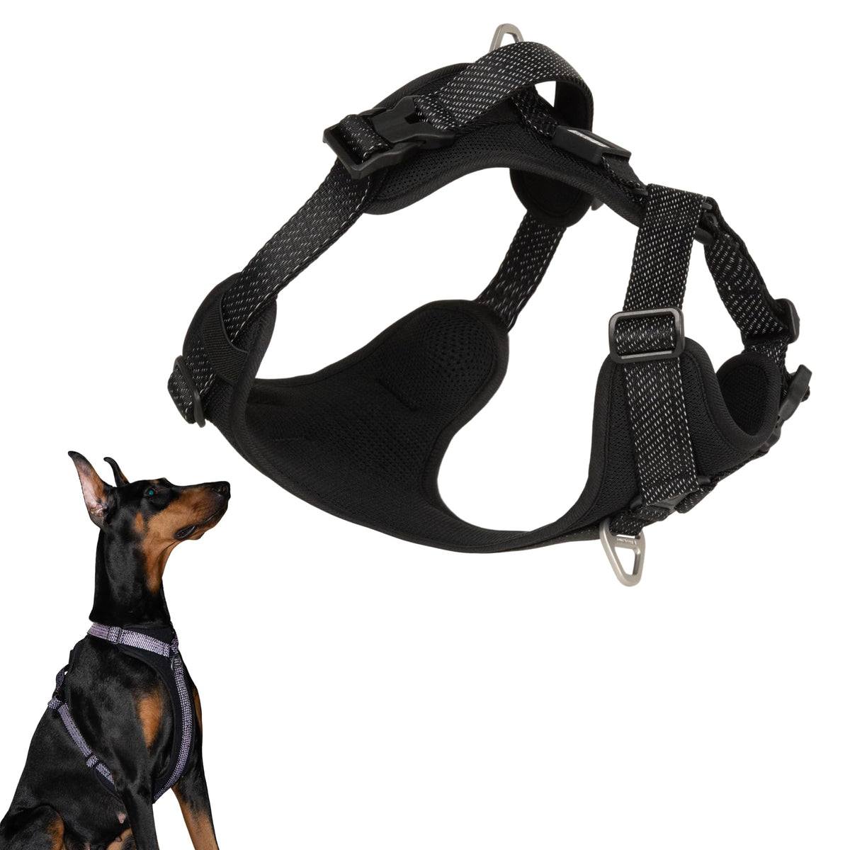 Arnés BuddyArmor con ajuste ergonómico para paseos cómodos diarios.