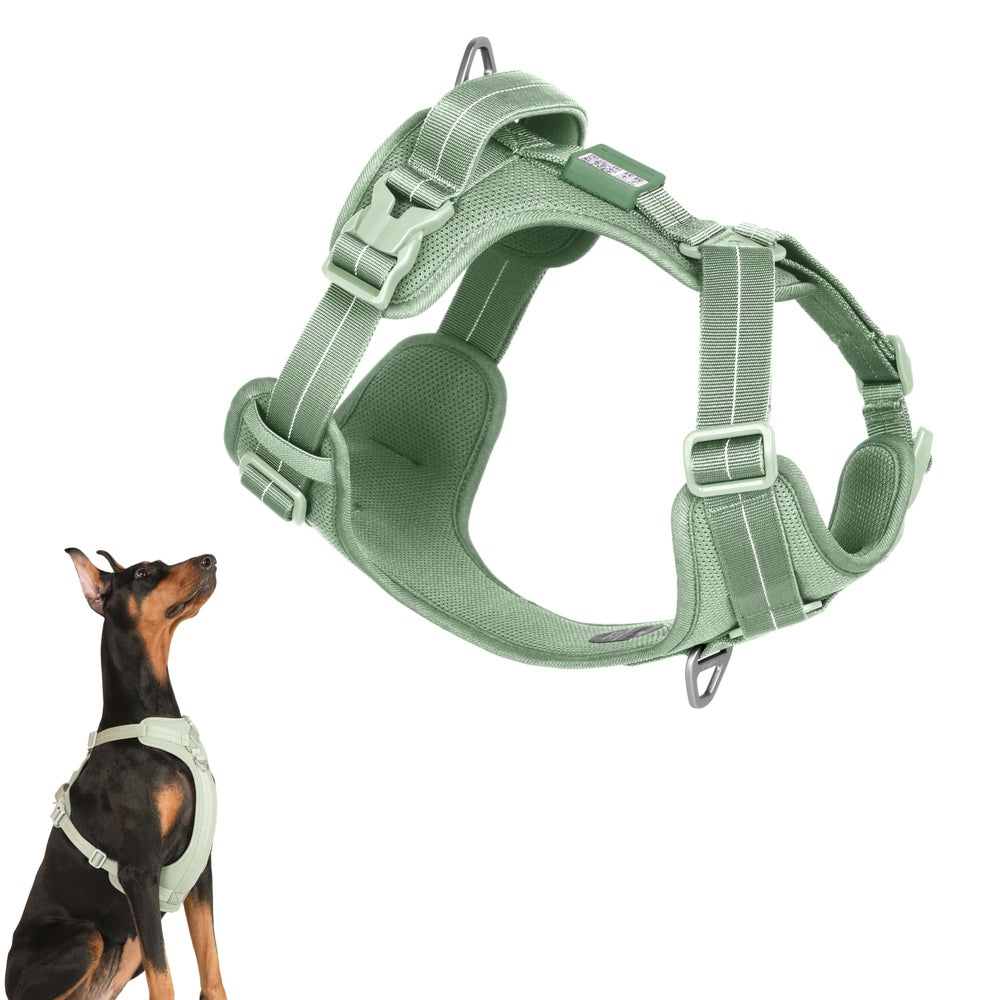 Arnés BuddyArmor todo-clima ajustable para mayor comodidad diaria.