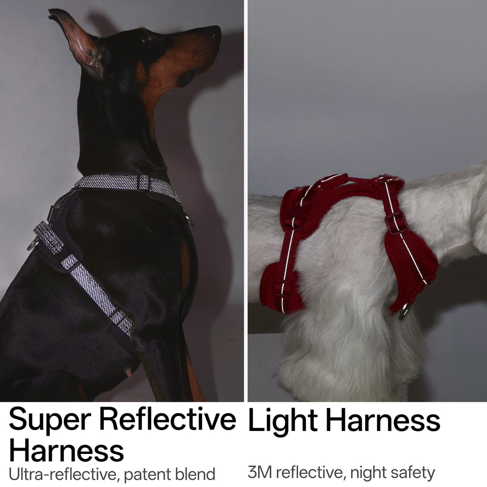 Arnés BuddyArmor reflectante ultra para alta visibilidad en caminatas nocturnas.
