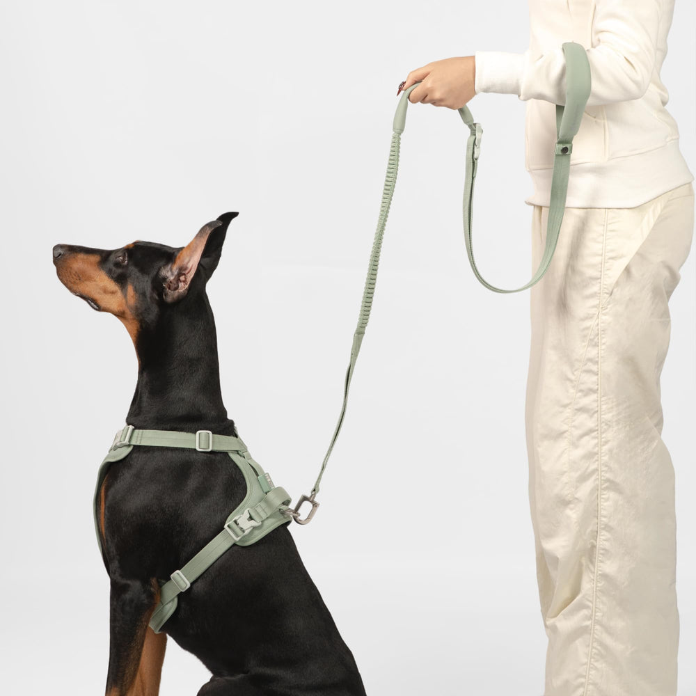 BuddyArmor hebilla de liberación rápida Y-K-K para colocarla fácilmente.