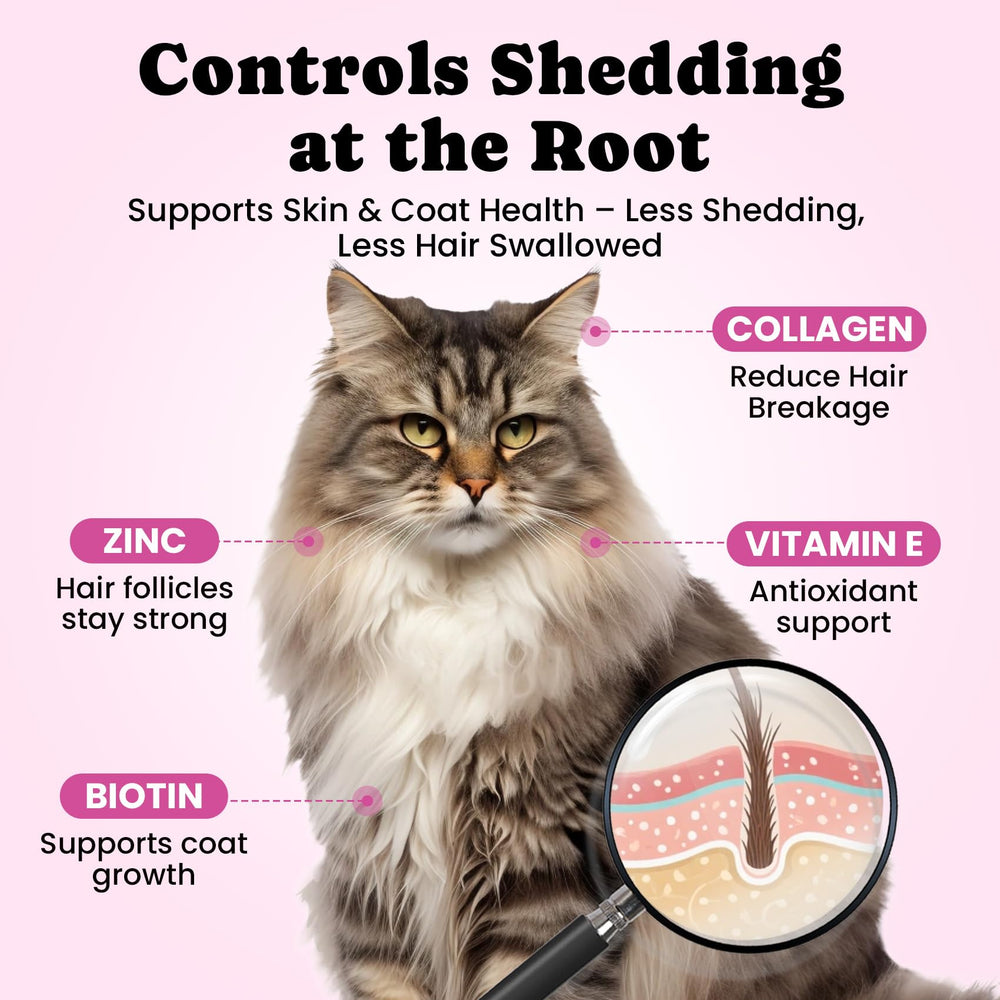 BuddyCheer center-filled-treat texture closeup demonstrates a tasty daily hairball option