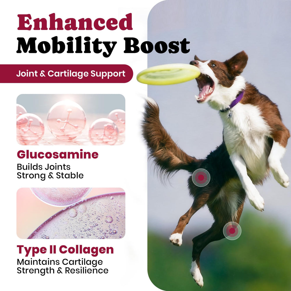 Gomitas para razas grandes BuddyCheer, compatibles con movimiento activo.