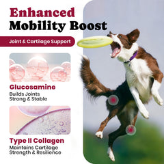Gomitas para razas grandes BuddyCheer, compatibles con movimiento activo.