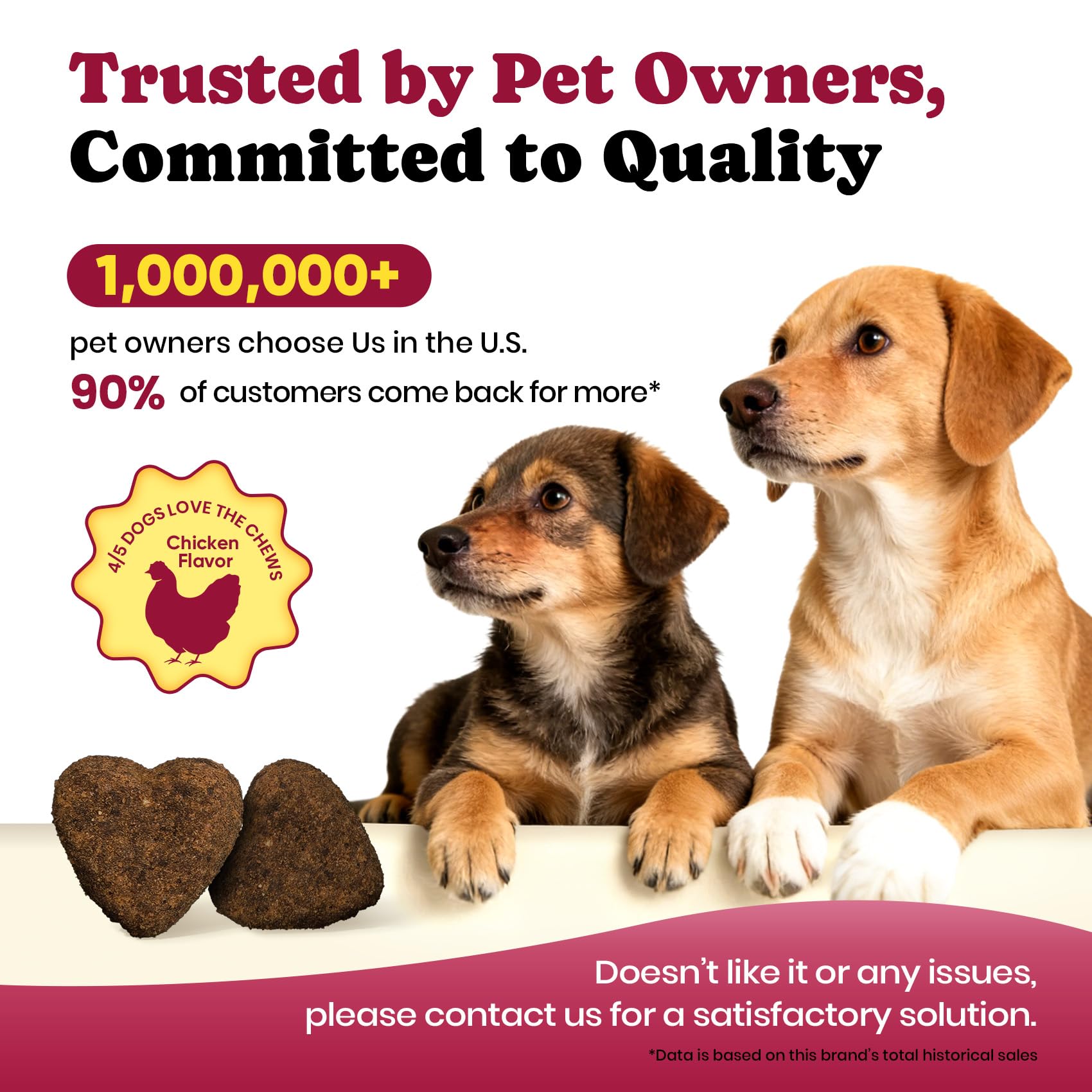 Uso diario de BuddyCheer, formato práctico para perros.