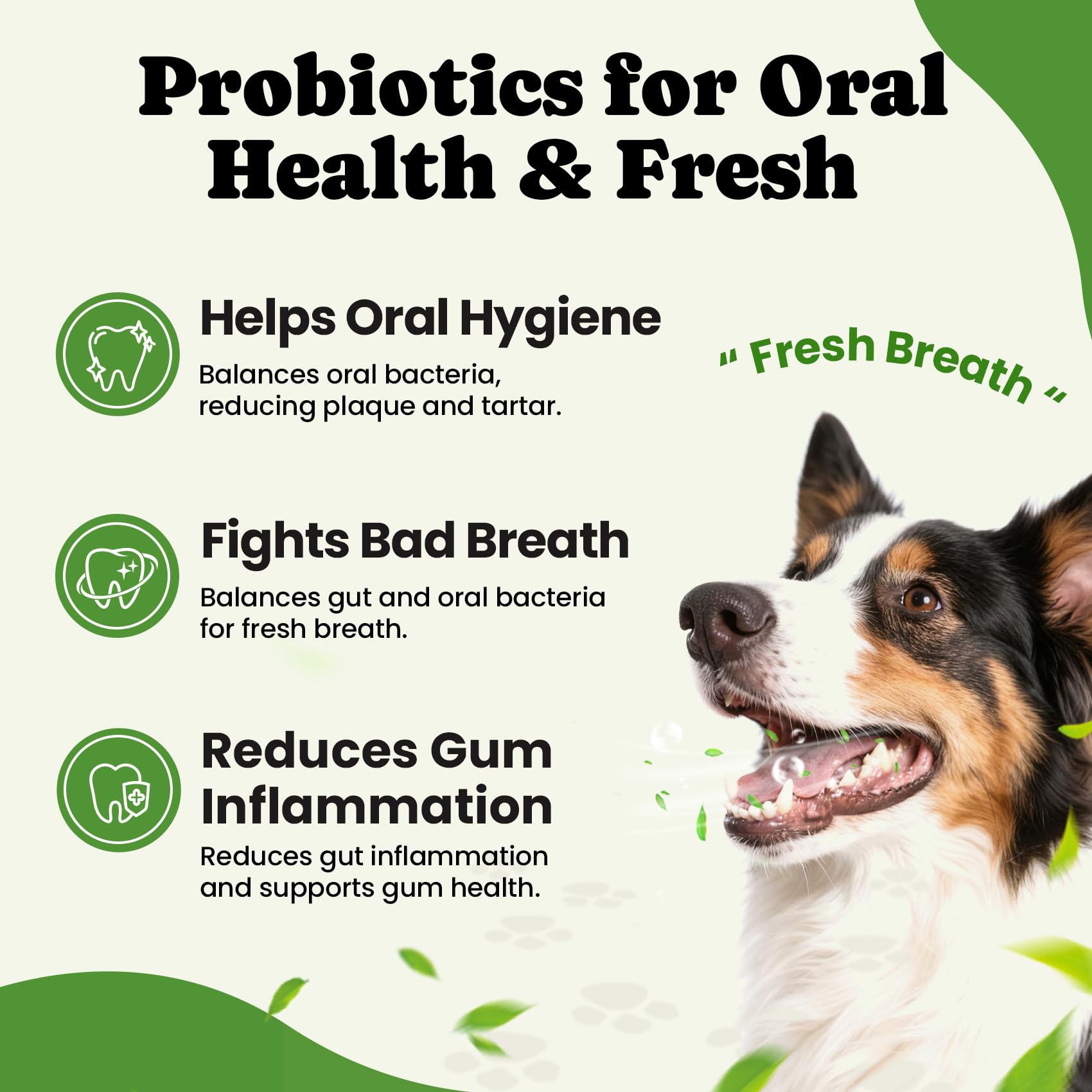 BuddyCheer probióticos para perros: 5 enzimas digestivas para la digestión.
