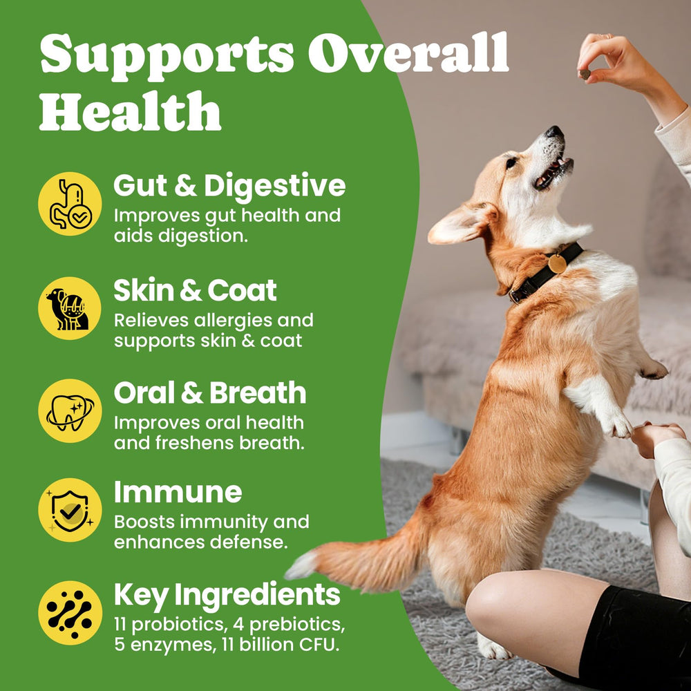 BuddyCheer probióticos para perros: garantía de satisfacción sin complicaciones.