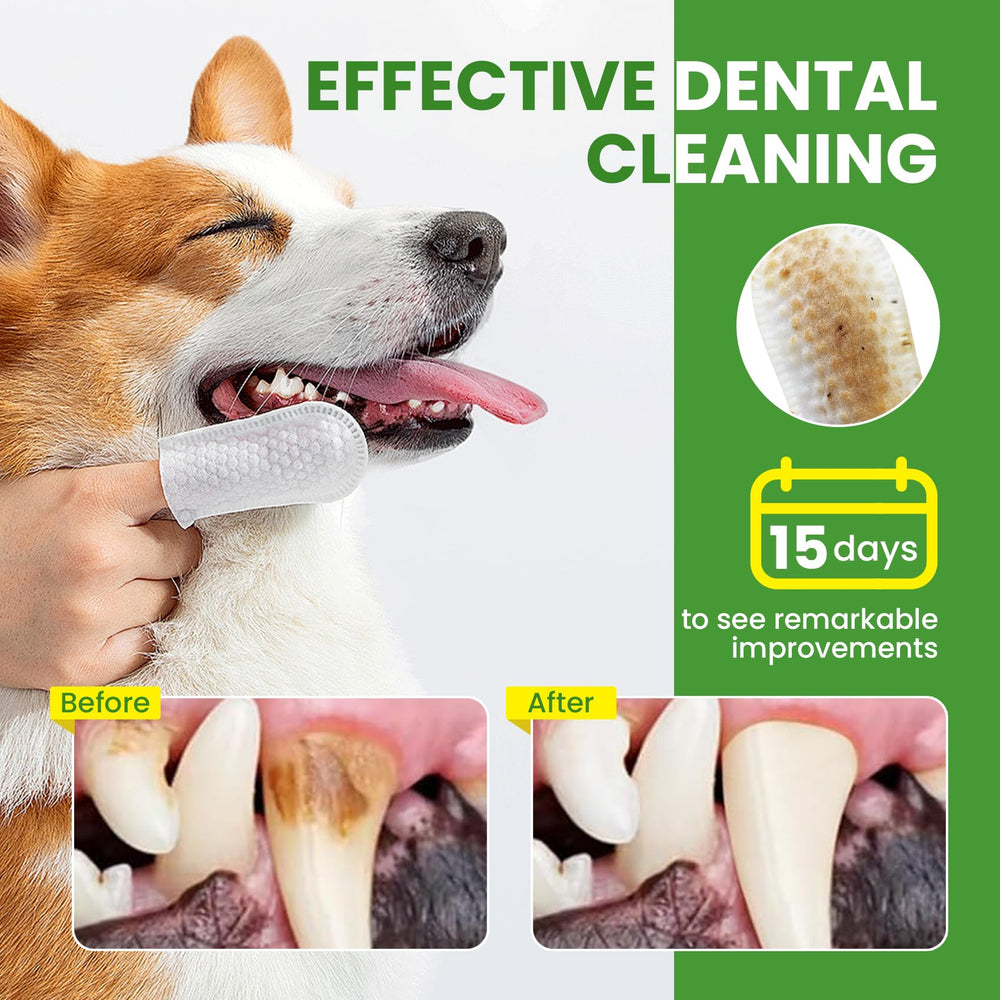 BuddyCheer: tamaño práctico para llevar en viajes y rutas de higiene dental