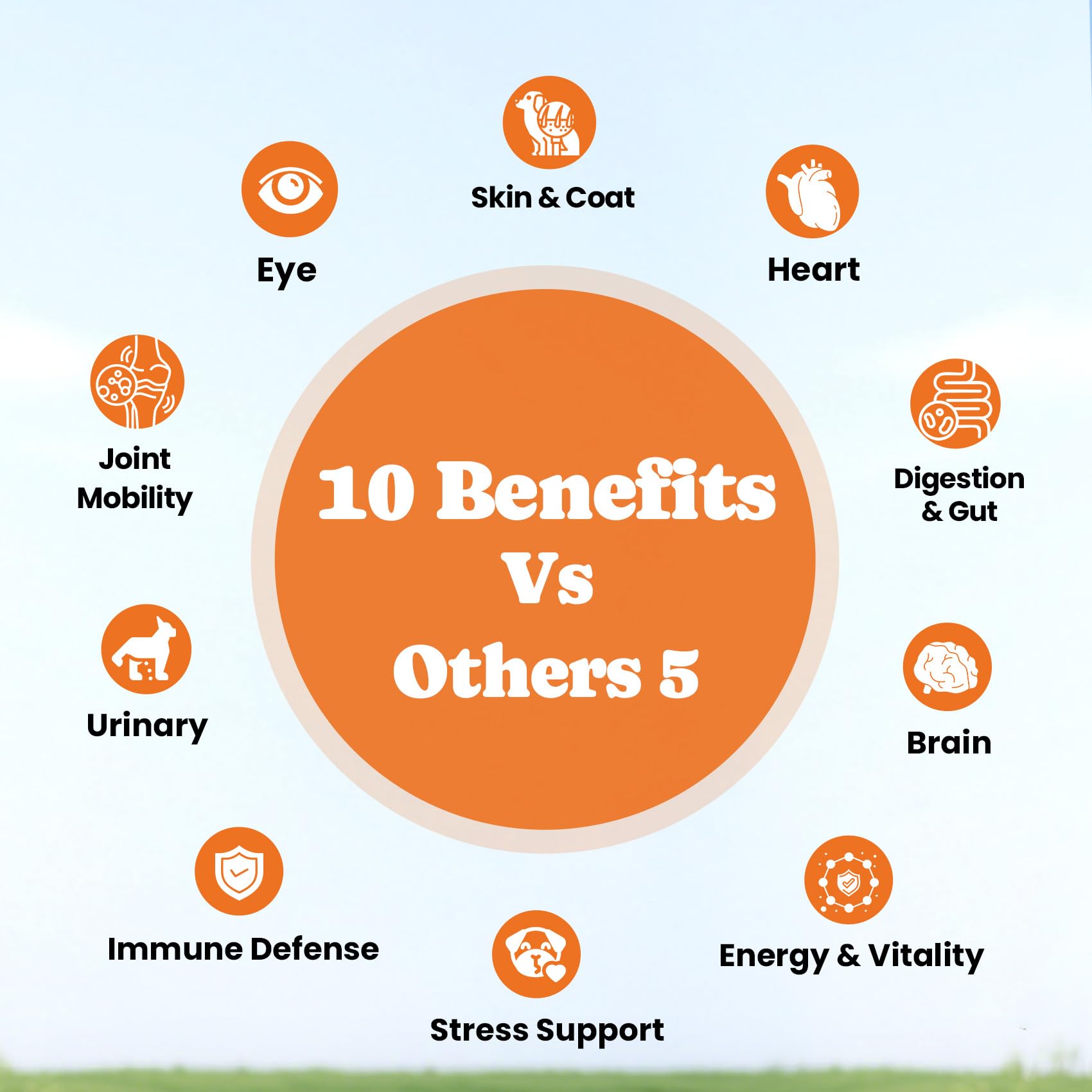 BuddyCheer apoya salud intestinal con probióticos y enzimas