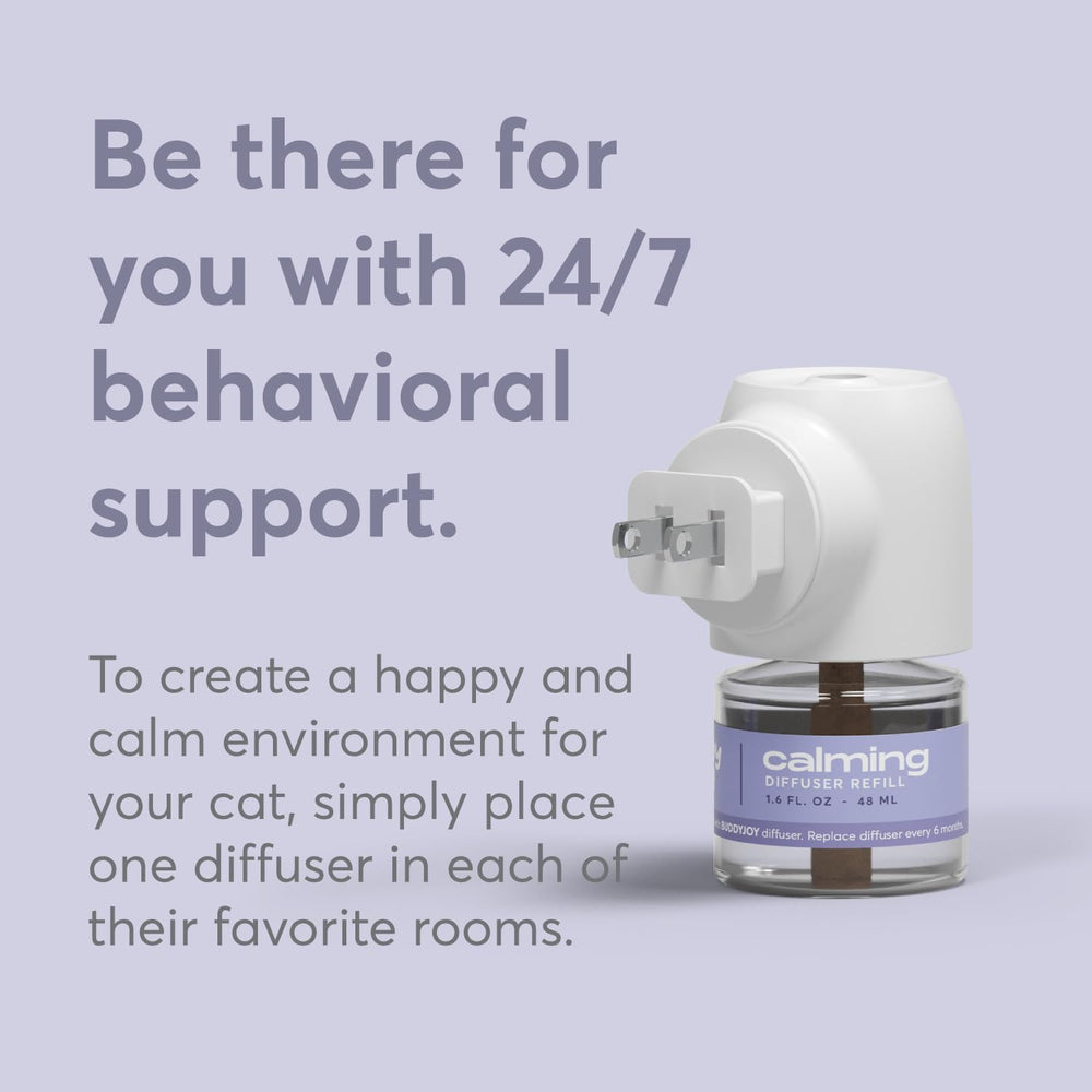 Ambiente hogareño tranquilo con BuddyJoy, ideal para noches y visitas ruidosas.