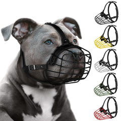 Budkas bozal pitbull con malla metálica para paseos seguros.