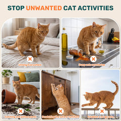 BUGAZOOM gato-cerca-muebles para entrenar hábitos sin estrés.