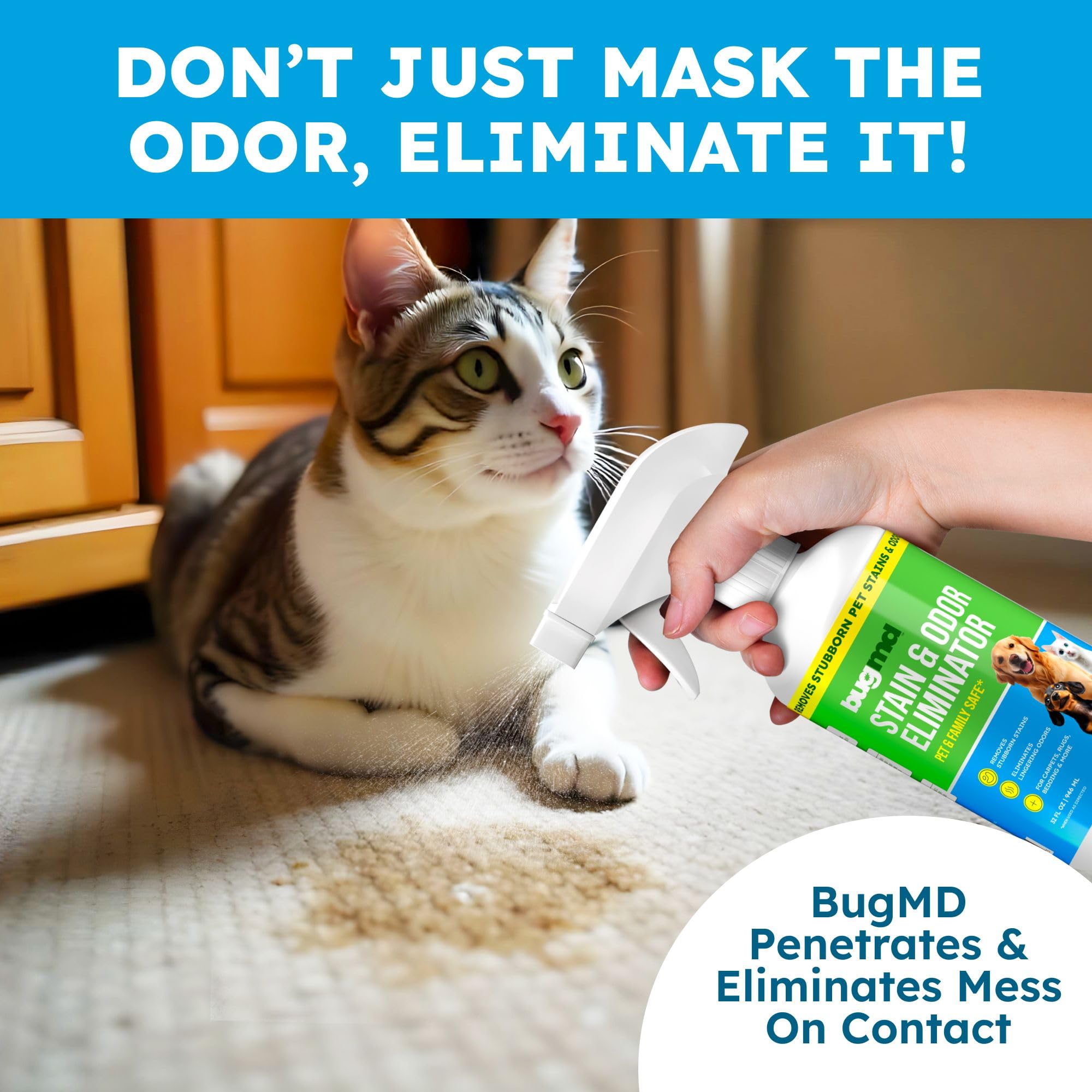 BugMD limpiador enzimático piso madera: apto para pisos de madera y superficies duraderas.