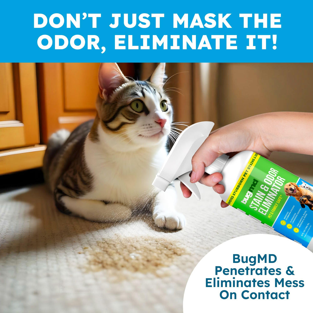 BugMD limpiador enzimático piso madera: apto para pisos de madera y superficies duraderas.