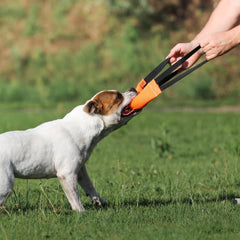 Bull Fit Bungee Tug con asas amortiguadoras que reducen tensión al tirar