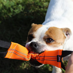 Bull Fit Bungee Tug hecho con manguera de incendios resistente para uso prolongado