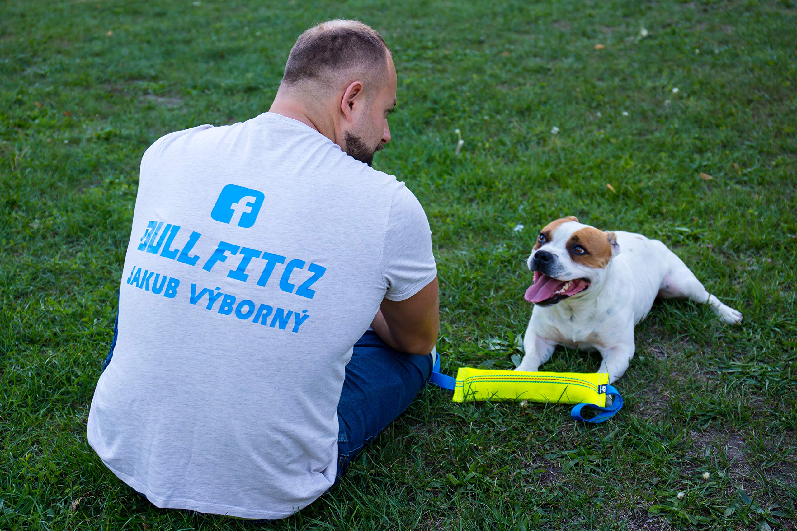 Bull Fit entrenamiento y diversión para perros grandes y activos.