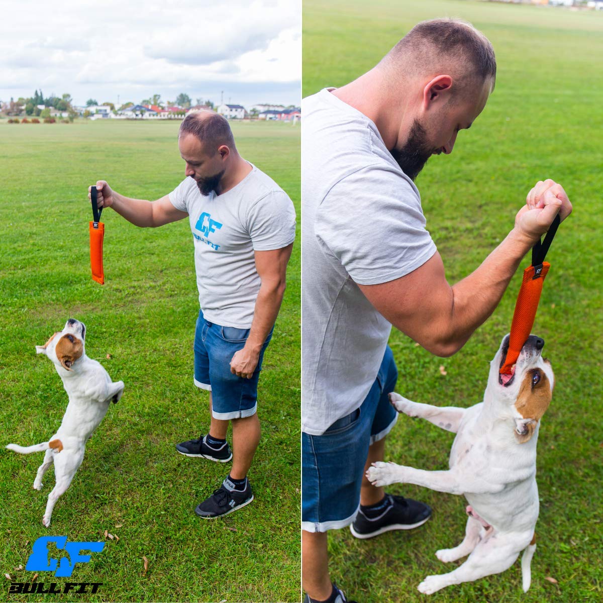 Bull Fit K9: entrenamiento para perros medianos y grandes