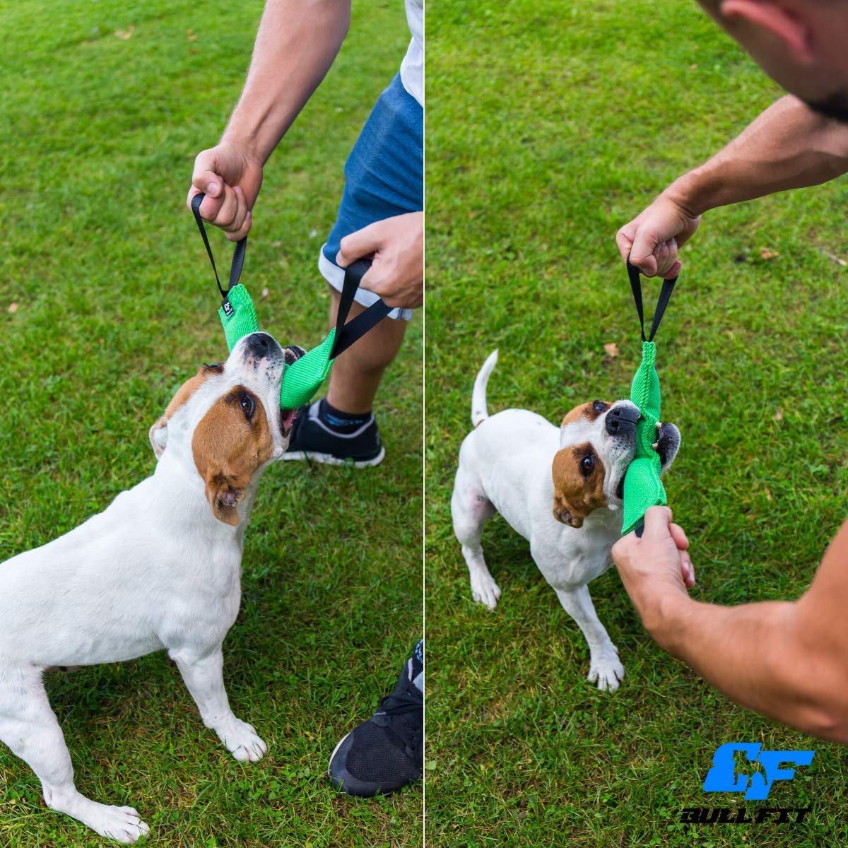 Bull Fit K9, adecuado para uso interior y exterior en cualquier clima