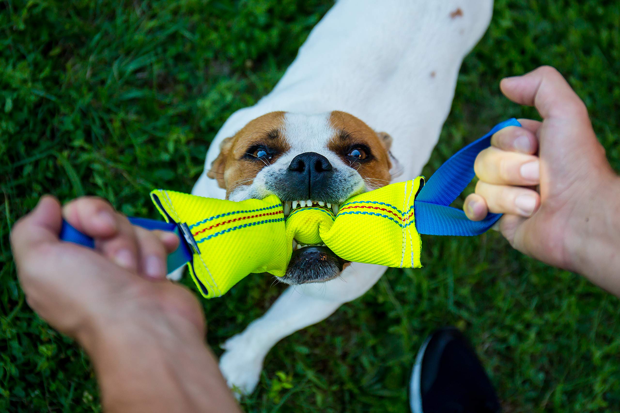 Bull Fit uso multipropósito para entrenamiento, búsqueda y agilidad.