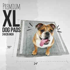 Bulldogology almohadilla entrenamiento cachorros 24x35, grande, absorción rápida para entrenamiento en casa.