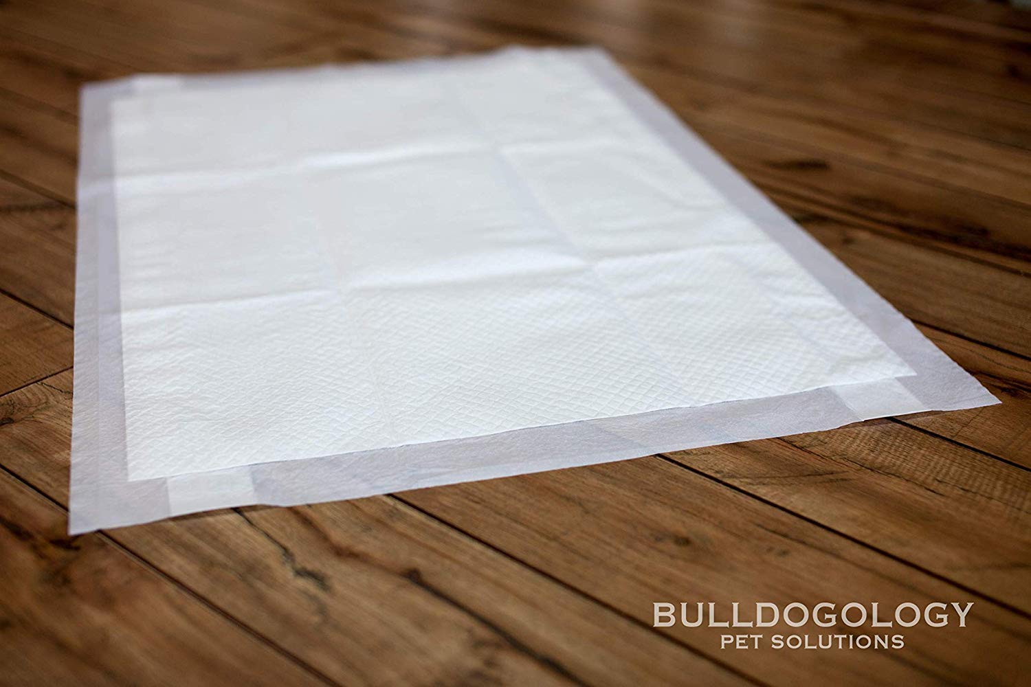 Bulldogology XL seis capas para mantener el suelo seco.
