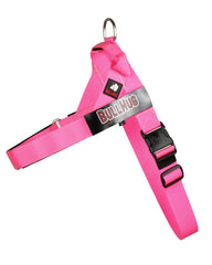 Asa de control para guiar al perro con seguridad.