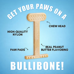 Bullibone, goût beurre de cacahuète entier, capte l’attention du chien.