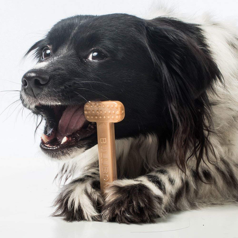 Bullibone hueso de nylon resistente para juego y limpieza dental