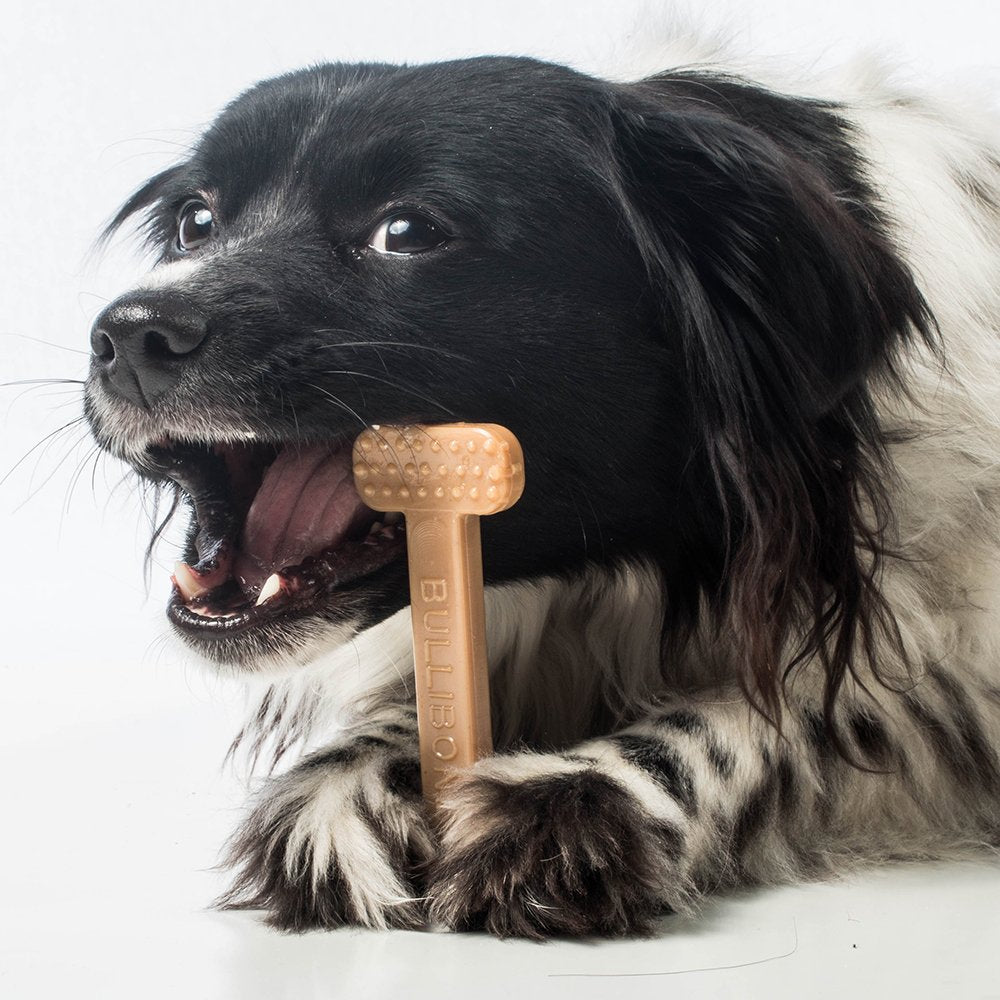 Bullibone jouet de dentition pour chien, parfait pour le jeu et l concentration.