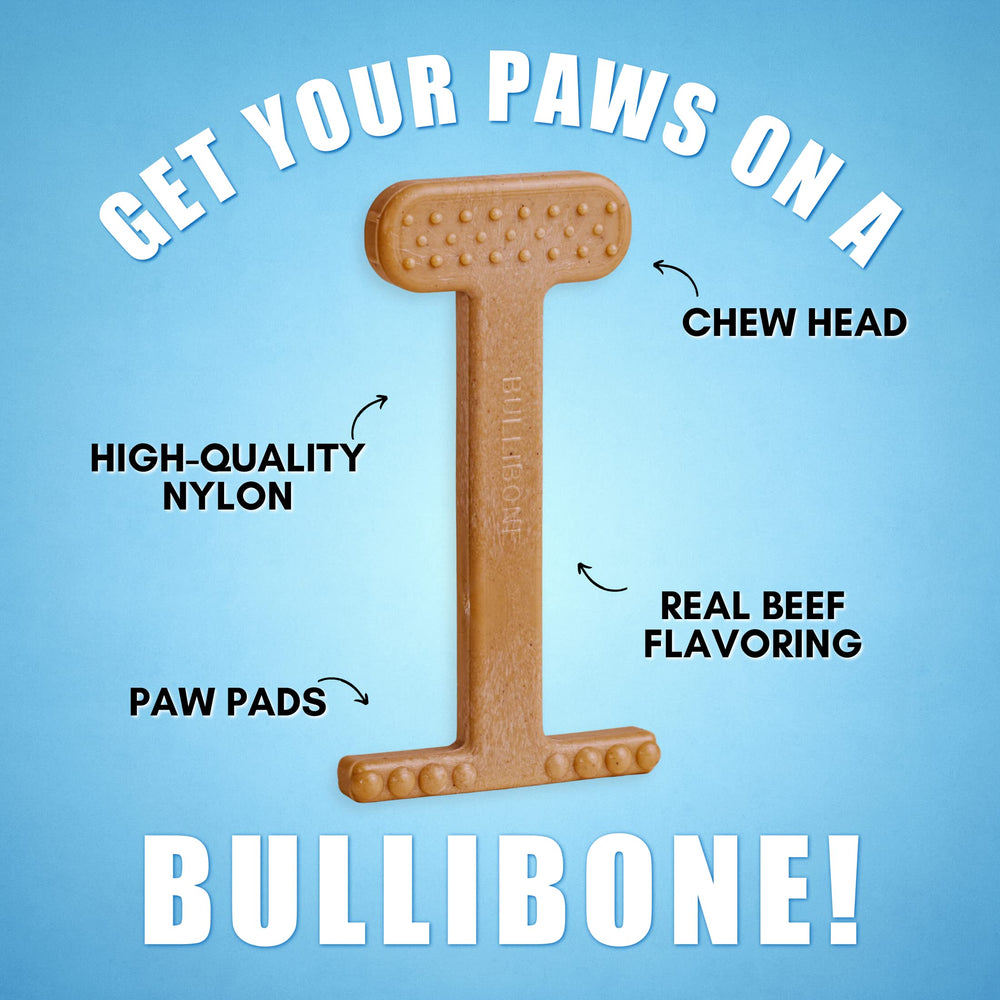Bullibone saveur bacon: saveur durable pour chiens exigeants