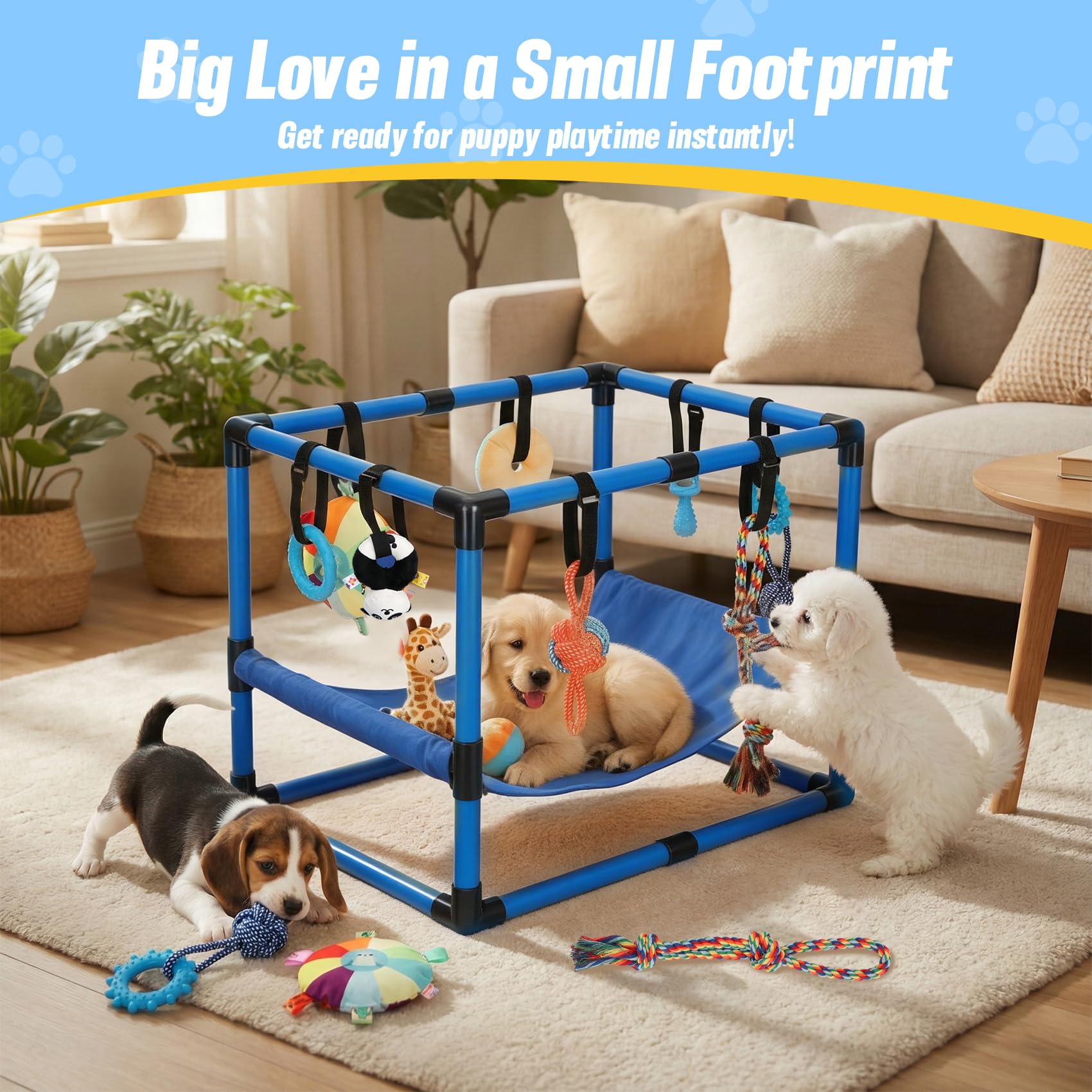Gimnasio Bullro azul para cachorros en casa, diversión responsable.