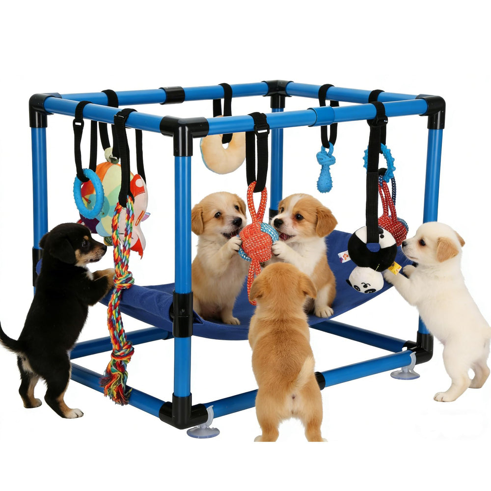 Gimnasio Bullro para cachorros azul, diseño compacto para interiores.