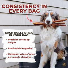 Bully Bunches: palitos de 12 pulgadas, tamaño constante para perros grandes