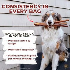 Bully Bunches para perros medianos y grandes, masticación controlada.