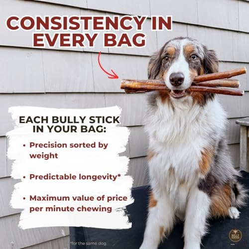 Presentación en pack de 10 unidades Bully Bunches Premium